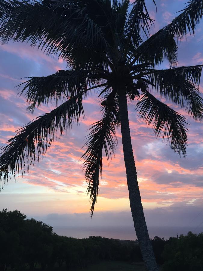 Puakea Ranch Hotell Hawi Eksteriør bilde