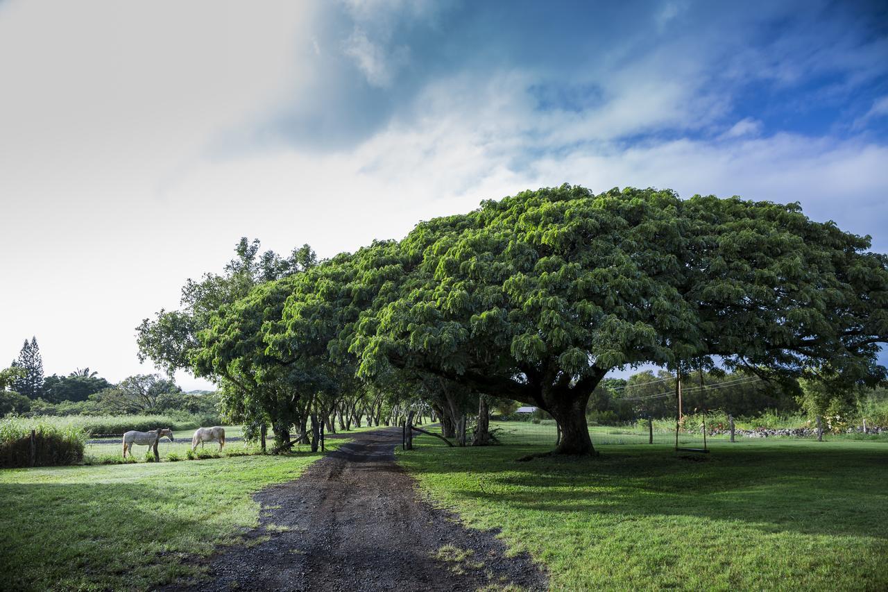 Puakea Ranch Hotell Hawi Eksteriør bilde