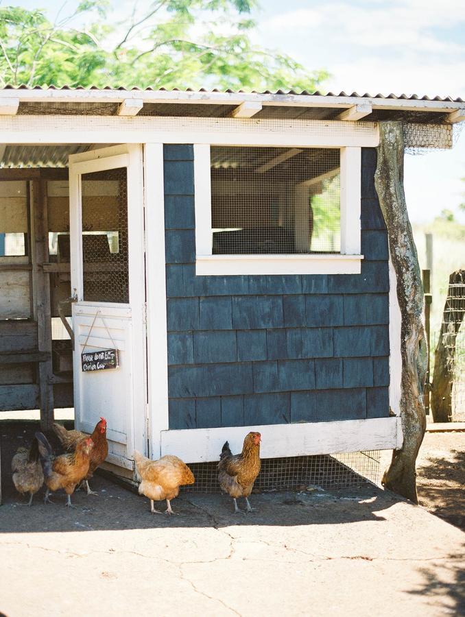 Puakea Ranch Hotell Hawi Eksteriør bilde